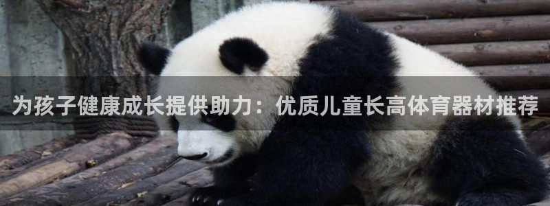 尊龙AG旗舰厅官网
