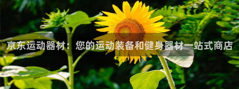 尊龙凯时 人生就是搏首页