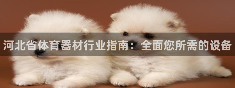 尊龙手机官方客户端下载