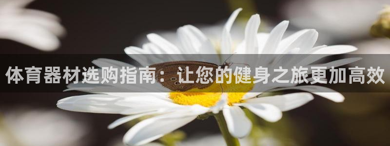 尊龙am i blue