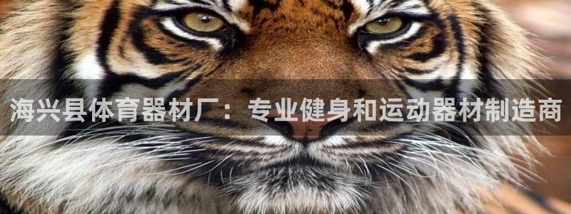 尊龙游戏官网