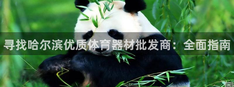 尊龙凯时ag旗舰厅
