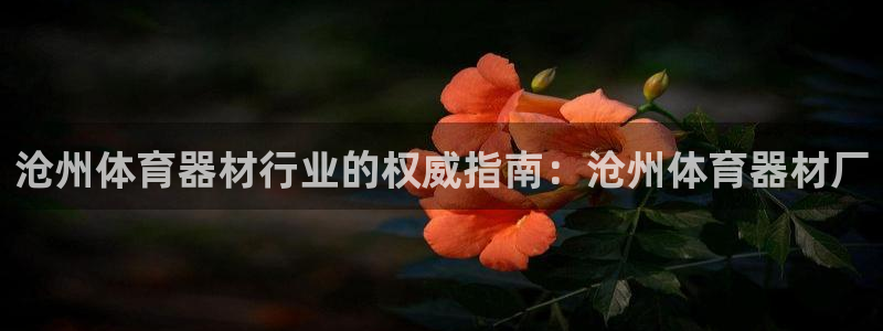 尊龙凯时下载人生就是博