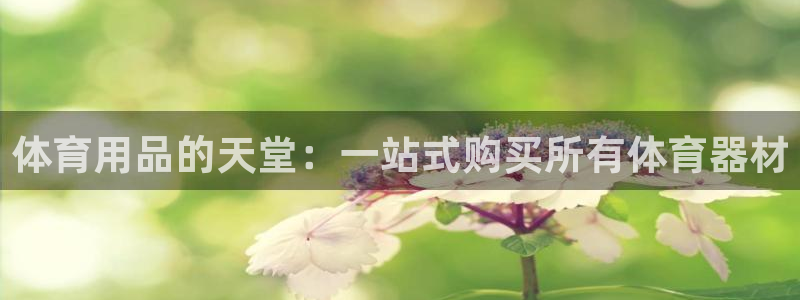 尊龙王t400
