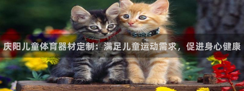 凯时app官网首页