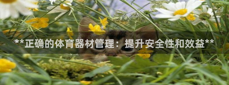 尊龙官方平台