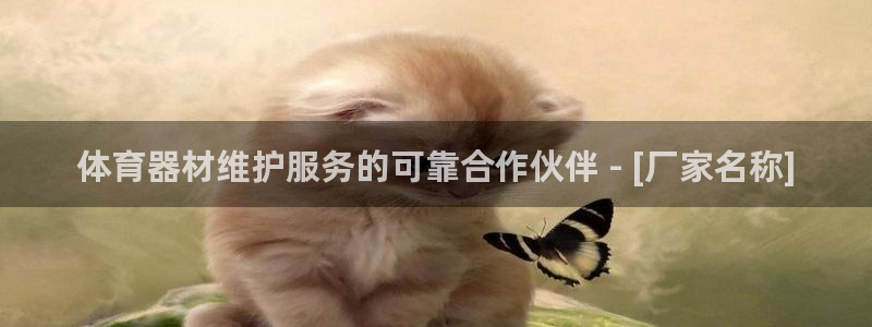 尊龙 贴吧