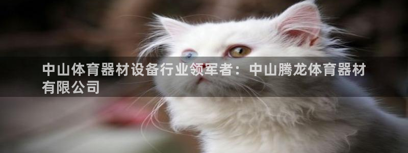 尊龙凯时人生就是博·(中国)官网