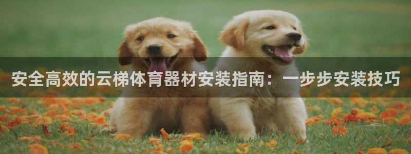 尊龙d88用现推选ag发财网