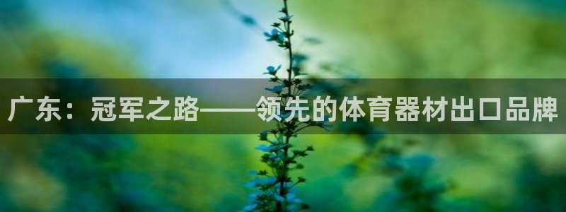 尊龙app登录不了