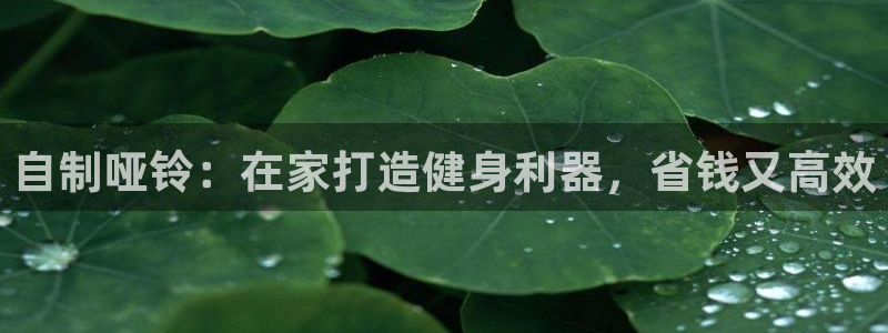 z6com尊龙