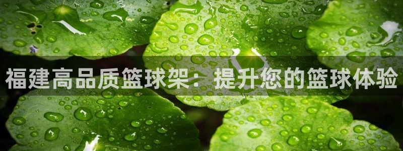 尊龙z6集团