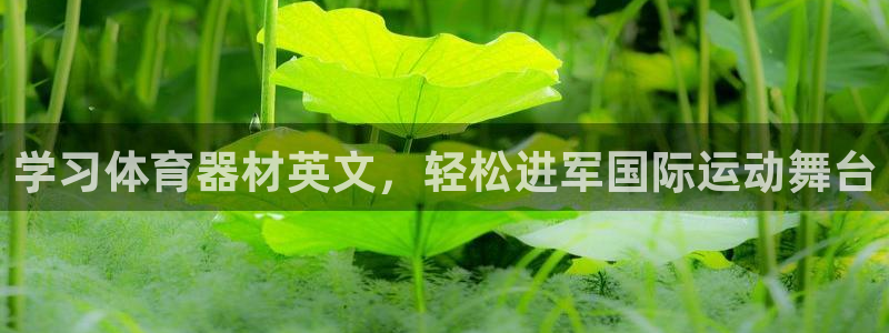尊龙凯时app产品介绍