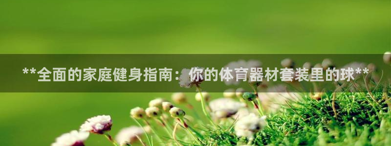 尊龙app下载官网