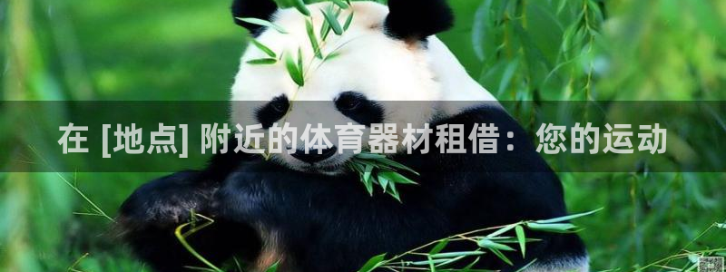 尊龙凯时百家乐手机下载