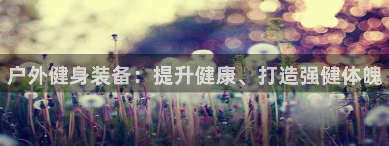 尊龙体育怎么样