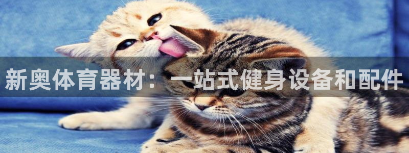 尊龙凯时开发