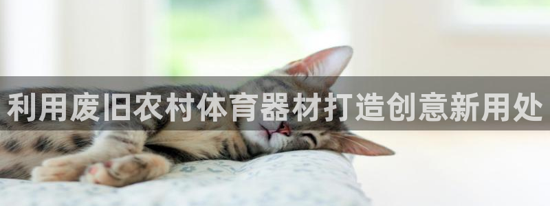 尊龙凯时旗舰厅百家乐下载