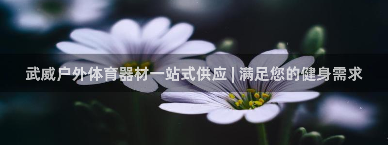 尊龙官网免费下载安卓