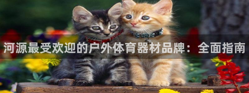 尊龙目前情况