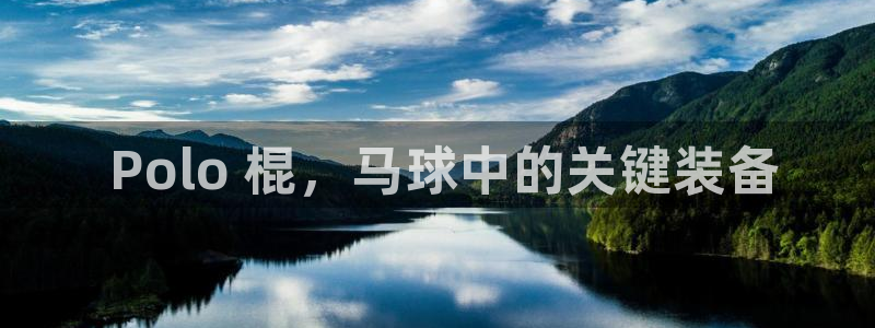 尊龙,人生就是搏