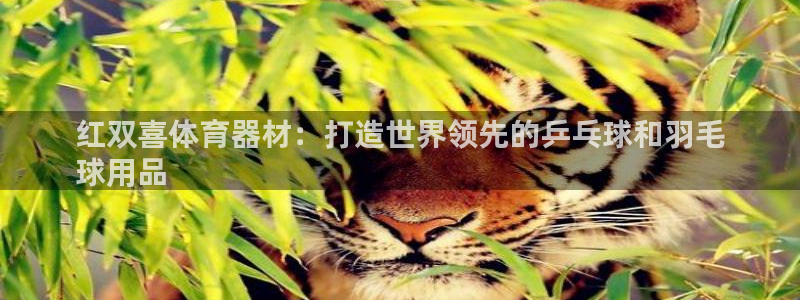 尊龙凯时ag旗舰厅试玩