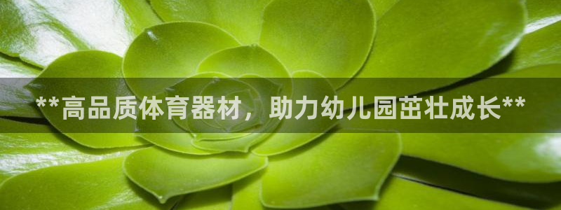 尊龙人生就是博旧版