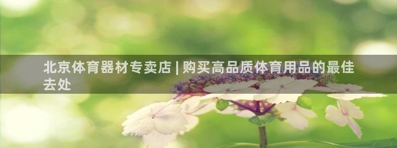 尊龙 6