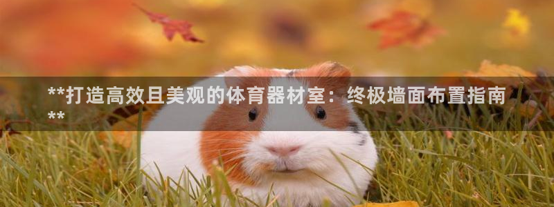 尊龙服饰有限公司地址