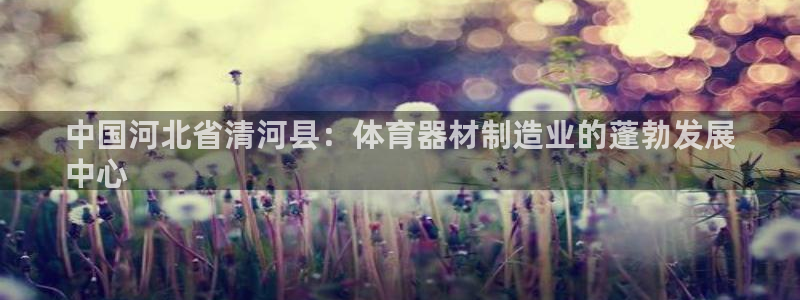 尊龙官网下载