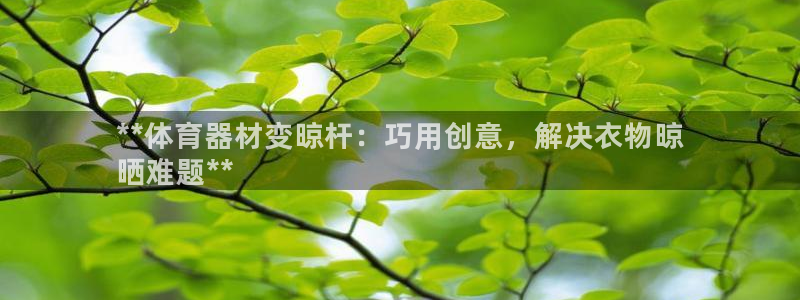 尊龙凯时人生就是搏技术实力