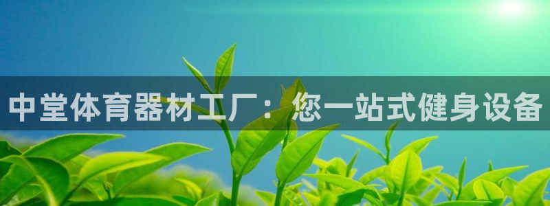 z6尊龙凯时