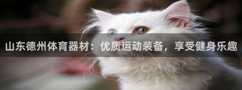 凯时官网下载客户端