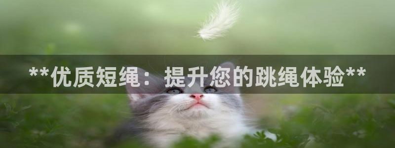z6com尊龙凯时