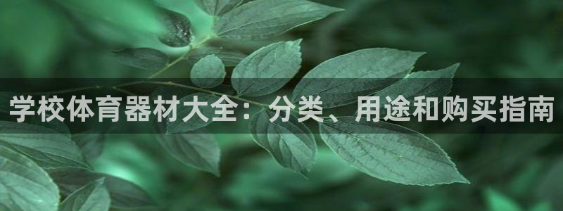 尊龙 6