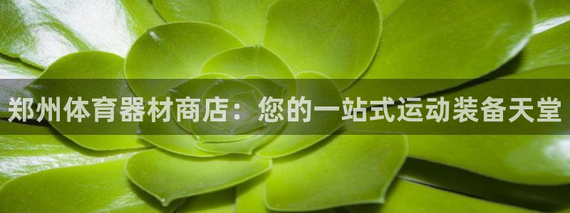 尊龙人生就是博送38