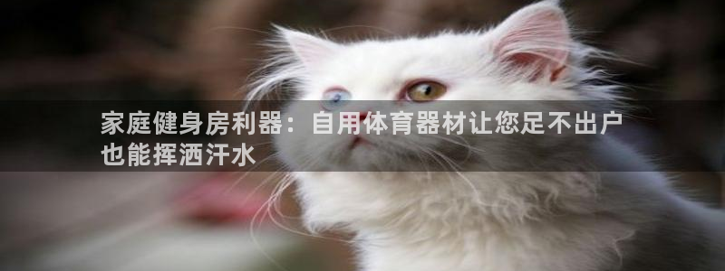 尊龙凯时 人生就是搏