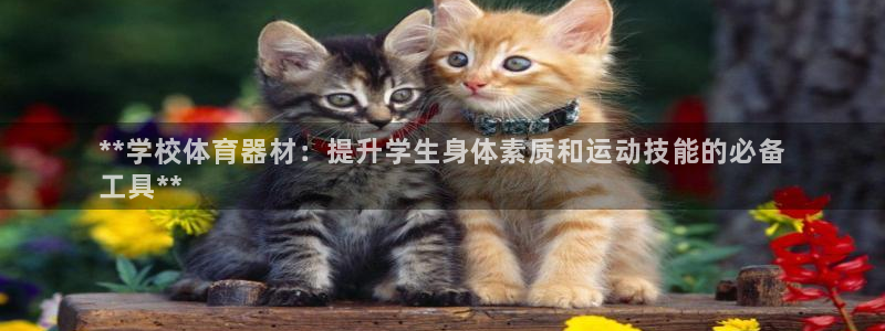 尊龙凯时logo