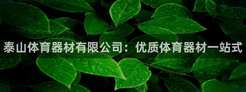 尊龙凯时是大平台吗