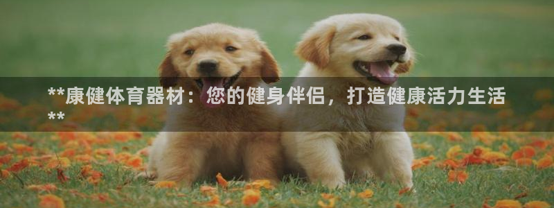尊龙凯时登陆网址