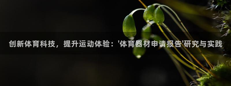 尊龙官网手机版下载