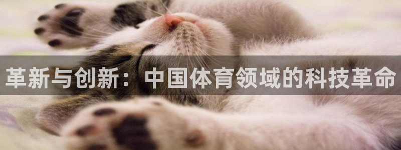 凯时AG网