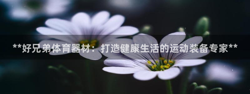 尊龙凯时旗舰厅百家乐下载