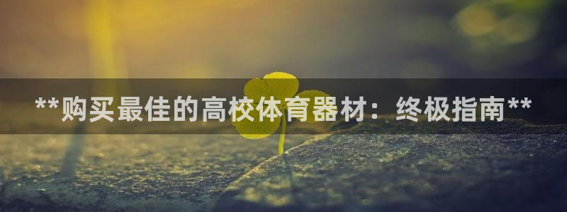 尊龙凯时干什么的：**购买最佳的高校体育器材：终极指南**