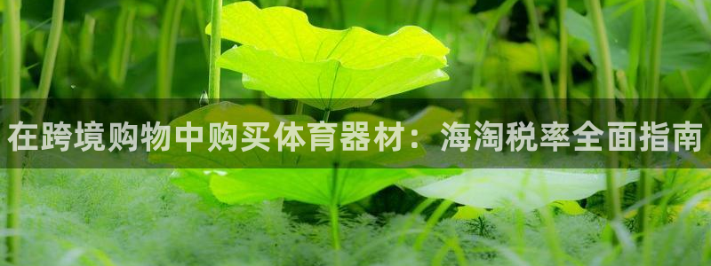 尊龙传奇英文怎么写