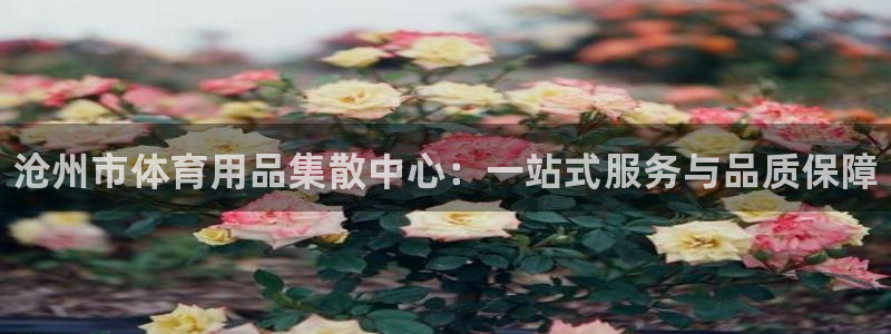 凯时kb88会员登录：沧州市体育用品集散中心：一站式服务与品