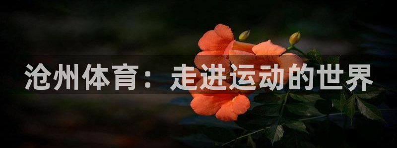 尊龙凯时ag旗舰厅官网客服