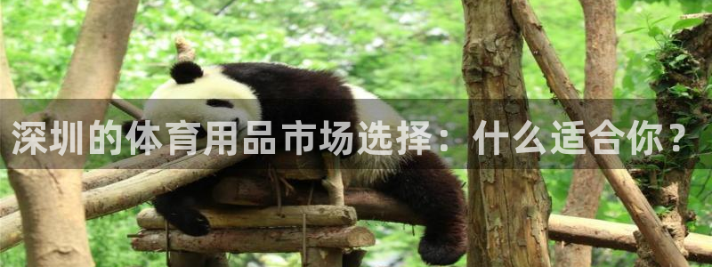 尊龙凯时网站怎么样