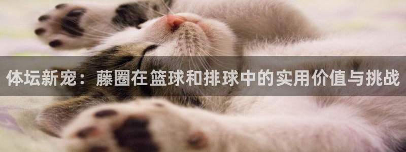 kb88凯时唯一官网注册