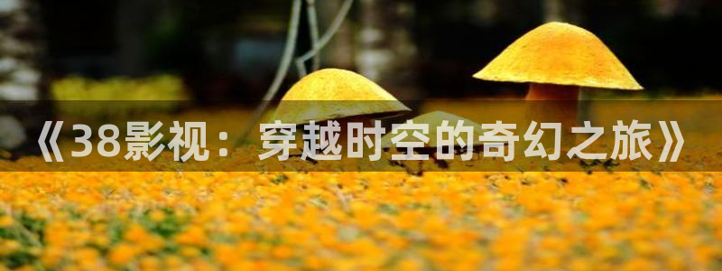 欧美aaa片电影：《38影视：穿越时空的奇幻之旅》
